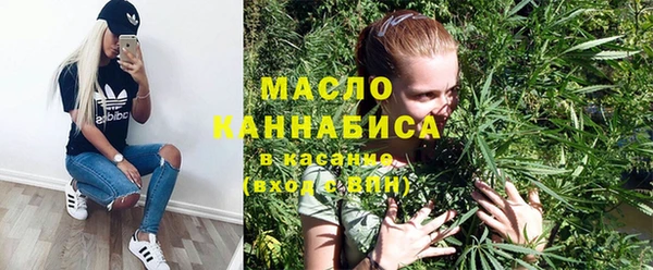 индика Заволжье