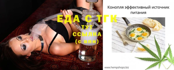 индика Заволжье
