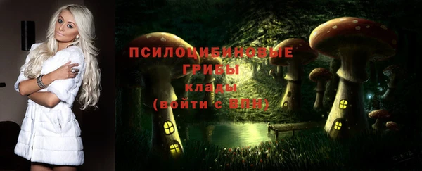 твердый Заводоуковск