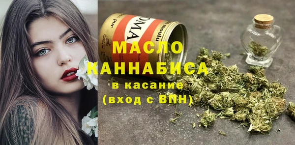 индика Заволжье