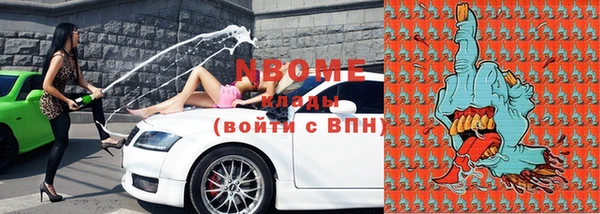 индика Заволжье