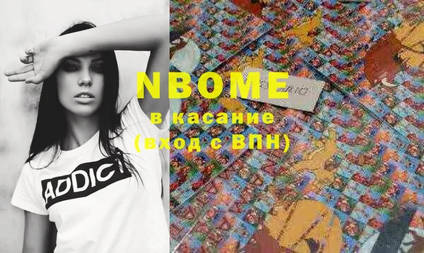 индика Заволжье