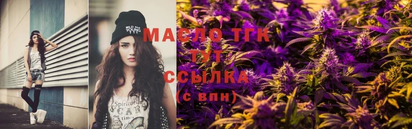 индика Заволжье