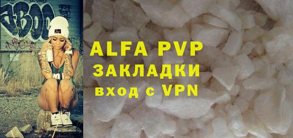 индика Заволжье