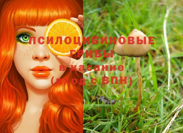 mdma Заволжск