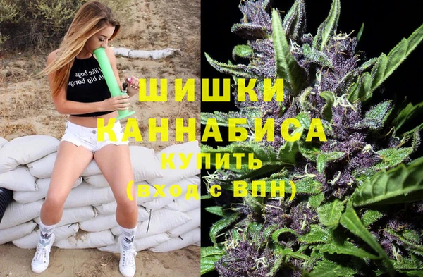 твердый Заводоуковск