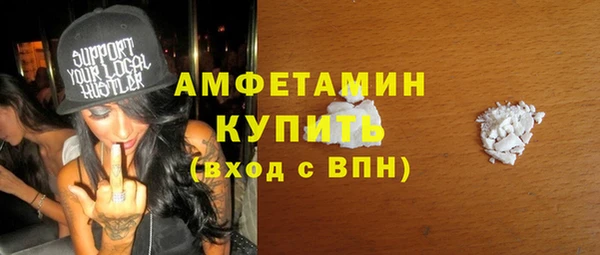 индика Заволжье