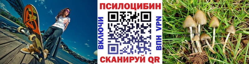 Купить  Ипатово  Псилоцибиновые грибы MAGIC MUSHROOMS 